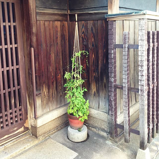 kinomiさんの実例写真