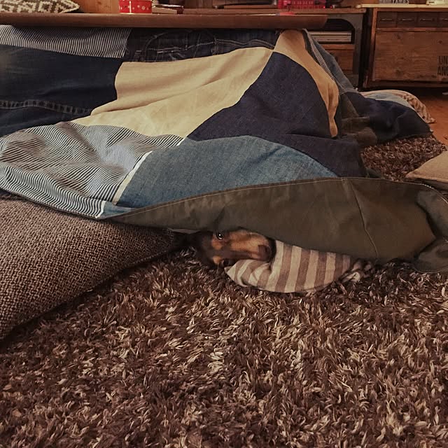 yupponさんの実例写真
