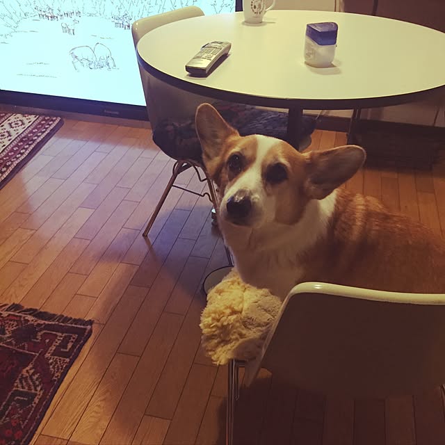 akahoshianさんの実例写真
