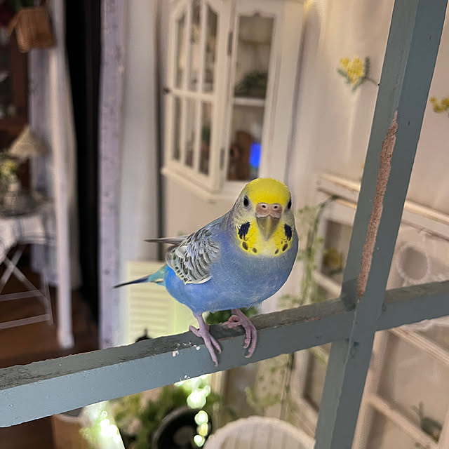 Atsukoさんの部屋