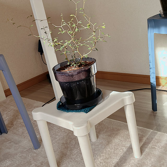 ruuuさんの実例写真