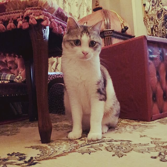 emmyyさんの実例写真