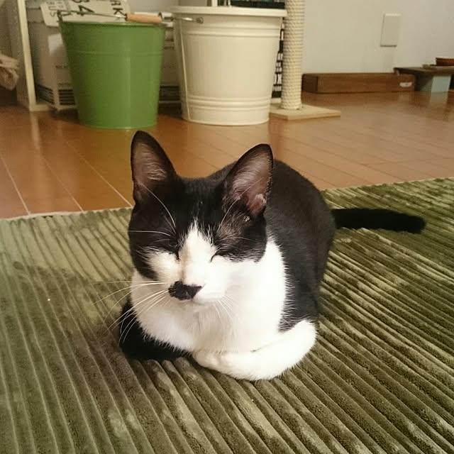 kazaneさんの実例写真
