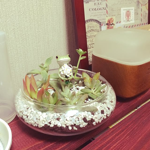M29さんの実例写真