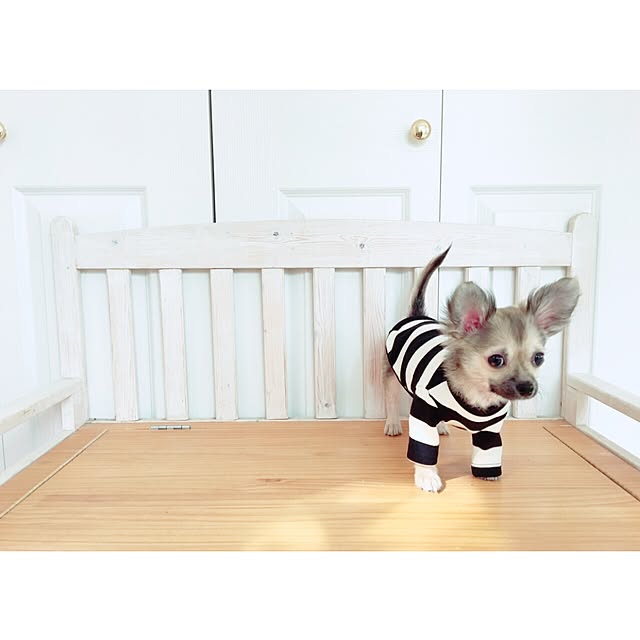 rrr...さんの実例写真