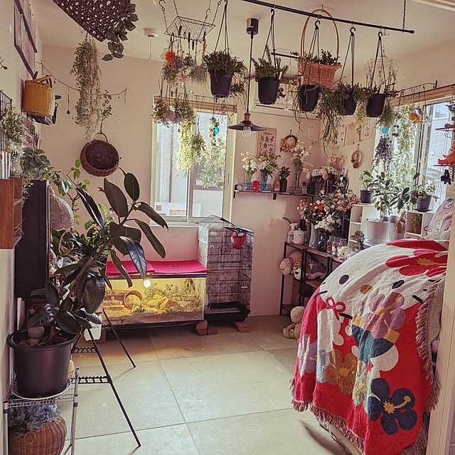 umeboshicyanさんの実例写真