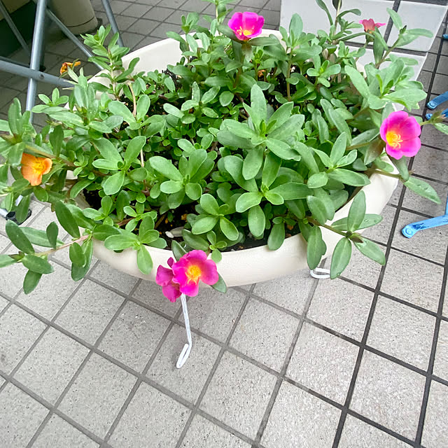 YuuKoさんの実例写真