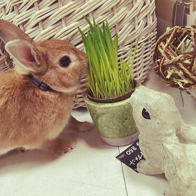 Yasuyukiさんの実例写真