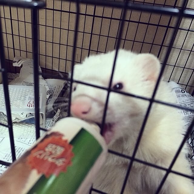 you...さんの実例写真