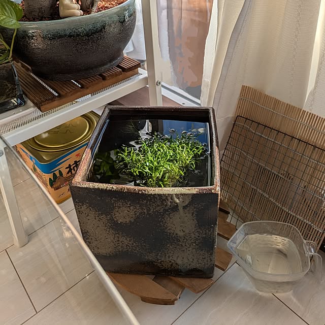 mi-saさんの部屋