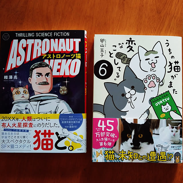 futukoさんの実例写真