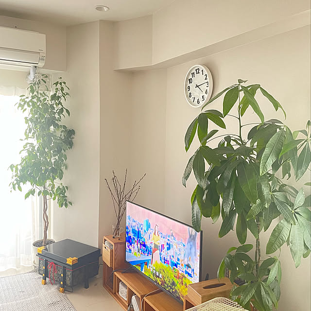 Aiさんの実例写真