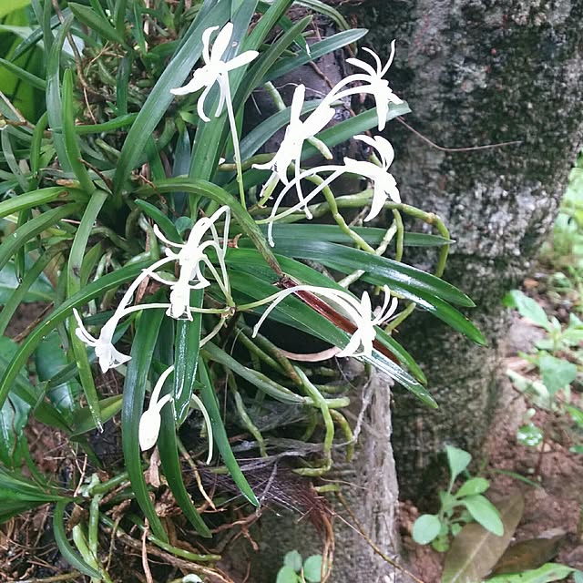 hiroさんの実例写真