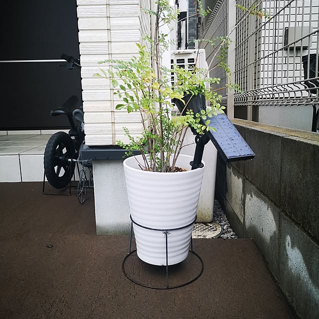 korさんの部屋