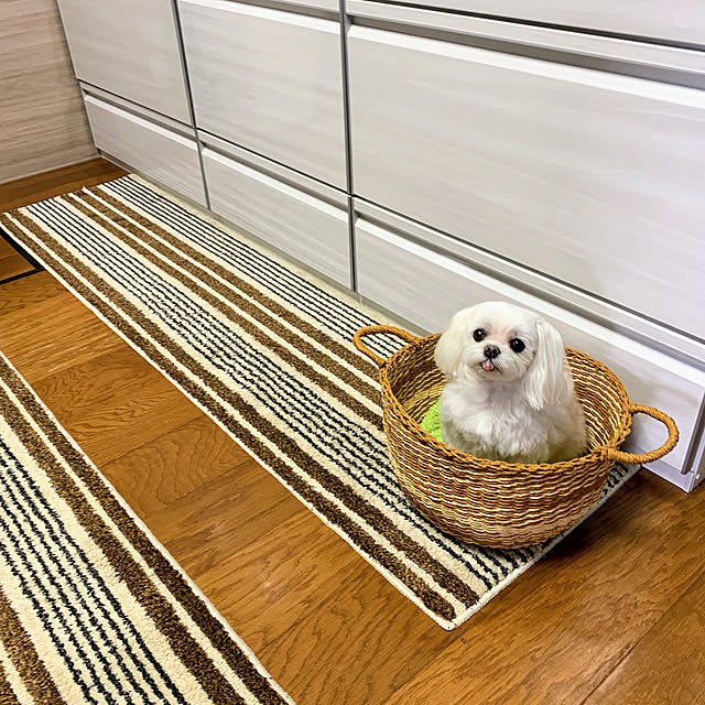 ponyoさんの部屋