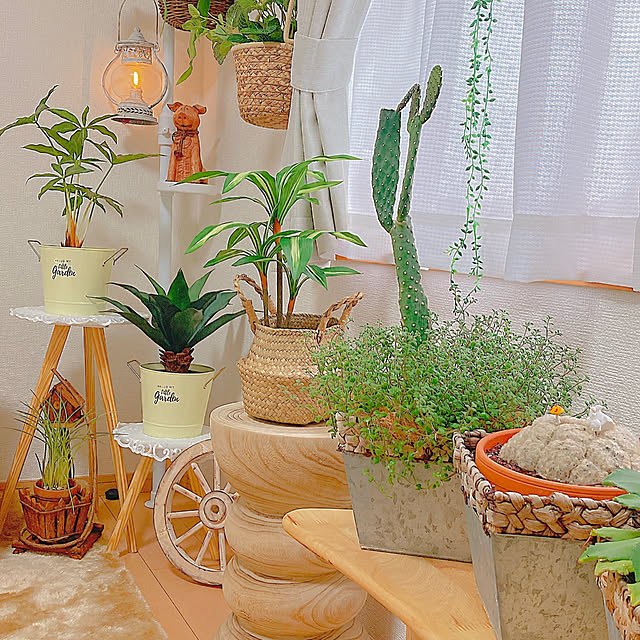 Hanakaさんの部屋