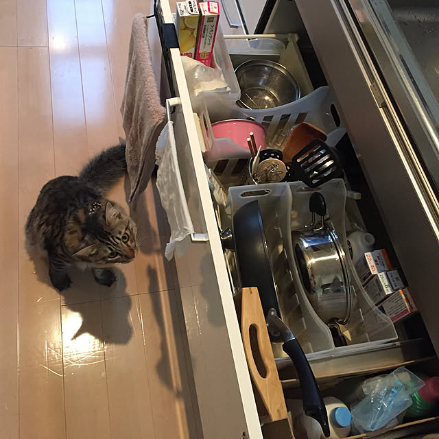 warucocoaさんの実例写真