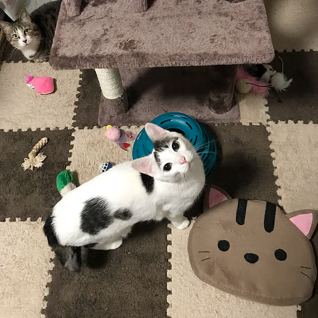 Chiekoさんの実例写真