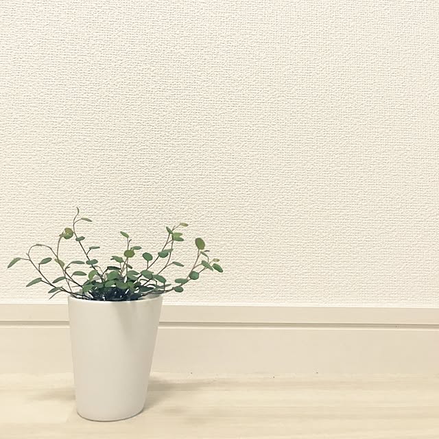 mujipeakさんの実例写真