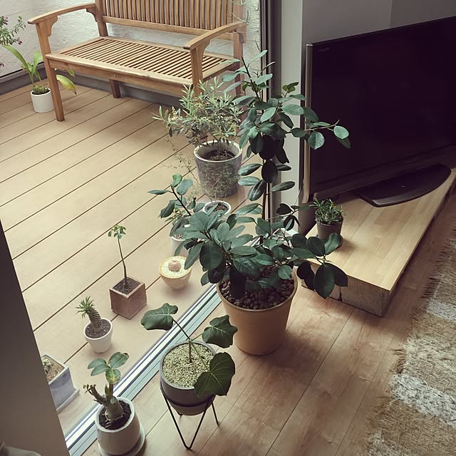 Y1178さんの実例写真