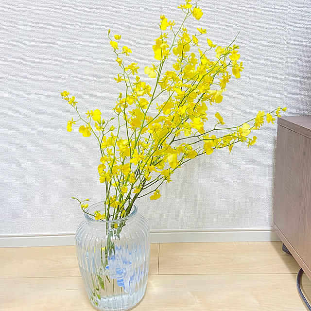 mizudayonさんの実例写真