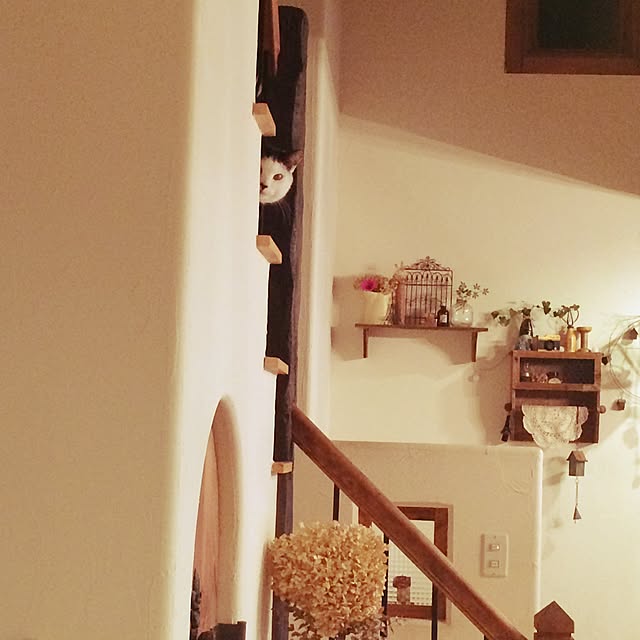 ktysさんの実例写真