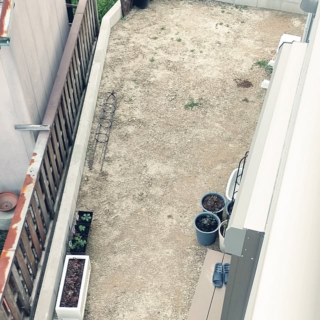 hinamamaさんの部屋
