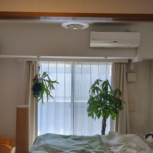 diopucciさんの部屋