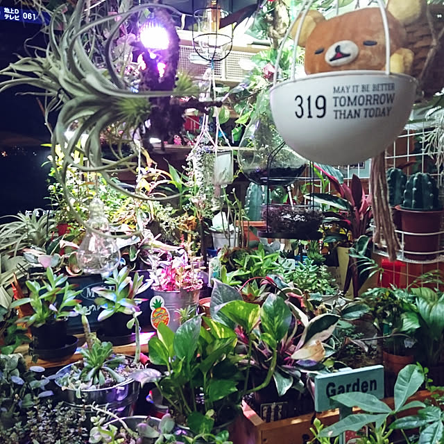 hiro4649さんの実例写真