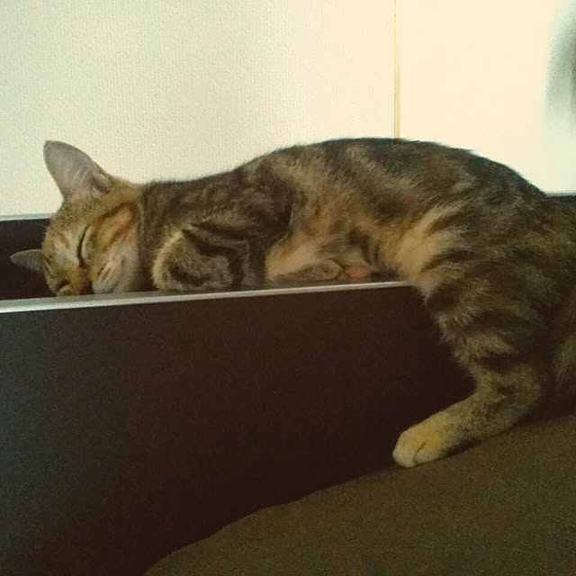 asuさんの実例写真