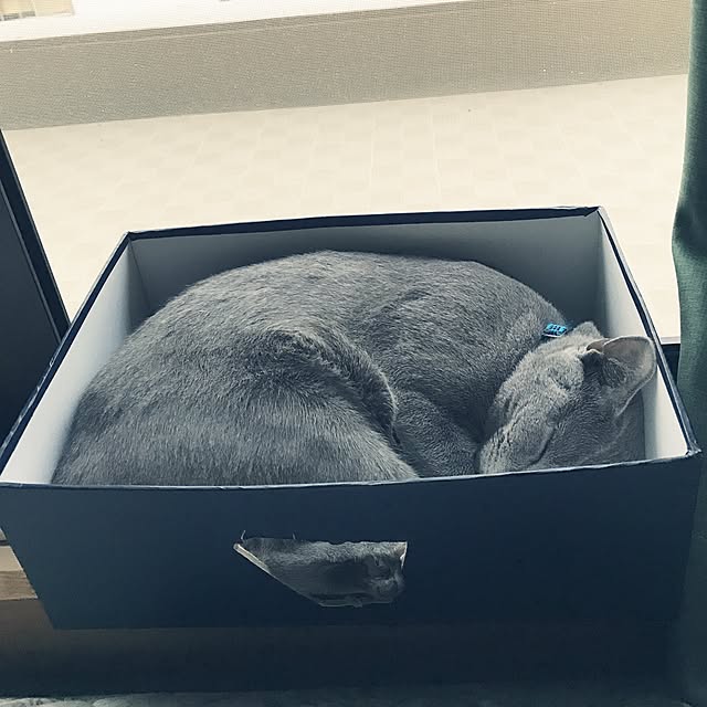 chiyaさんの実例写真