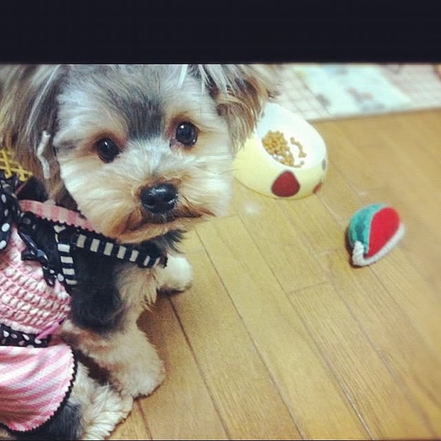 leomamaさんの実例写真