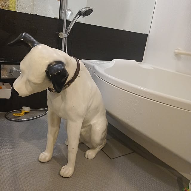 Hikoさんの実例写真