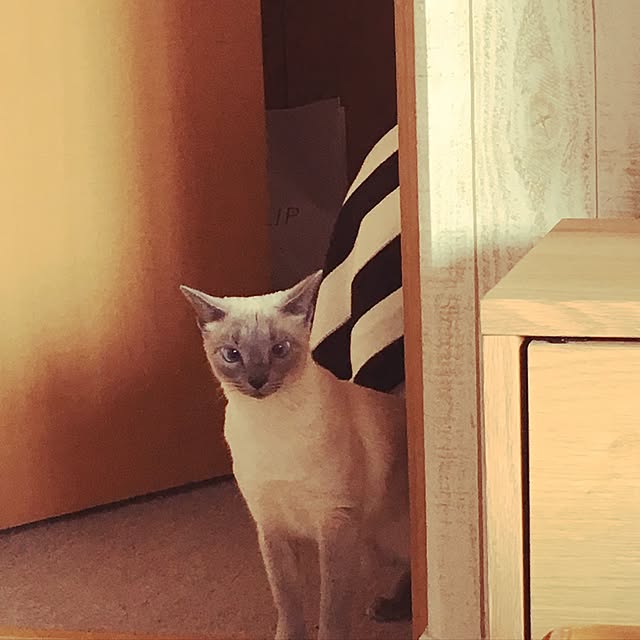 niko-25さんの実例写真