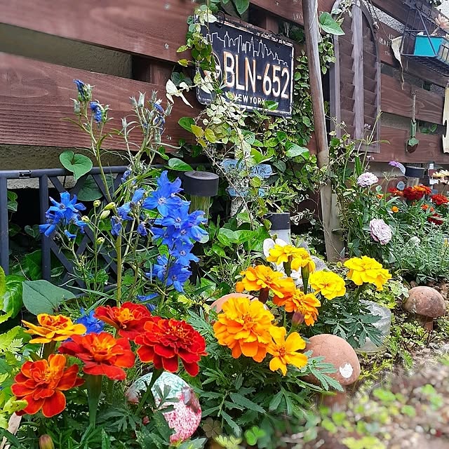 naoporonさんの実例写真