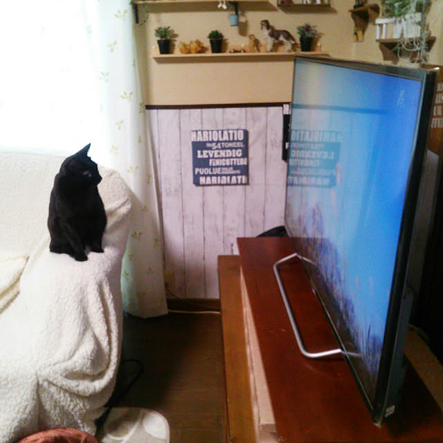 Tomopさんの実例写真
