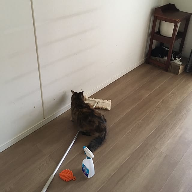 mikomaruさんの実例写真