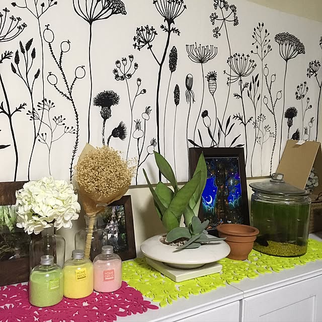 棚/多肉植物/IKEA/ドライフラワーのインテリア実例 - 2017-03-26 20:36:39