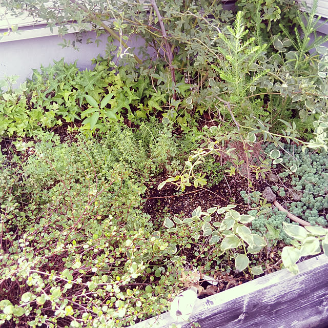 kestyukiさんの実例写真