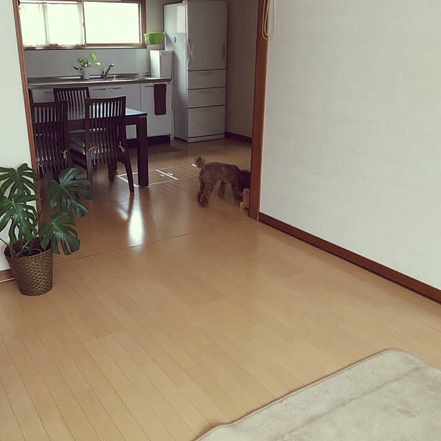 my_homeさんの実例写真