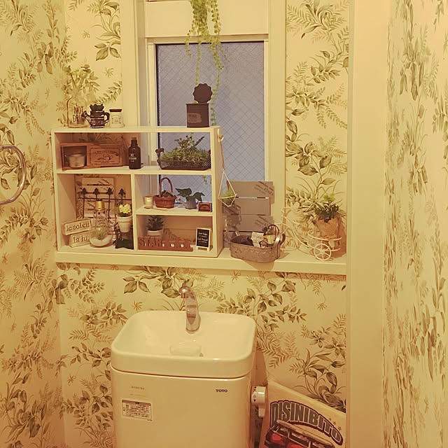 Aisaさんの実例写真