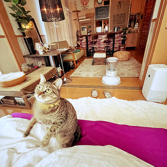 Mさんの実例写真