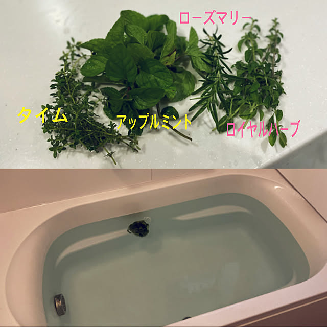seiさんの実例写真