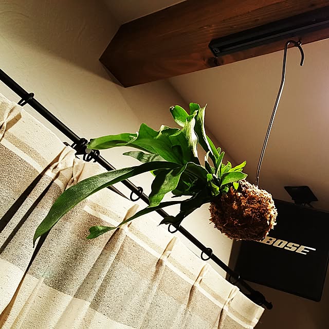 n06k27さんの実例写真
