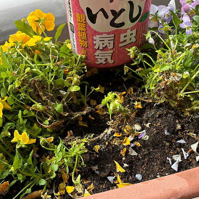 syutmmさんの部屋