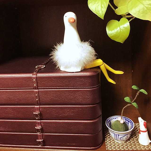 harukaさんの実例写真