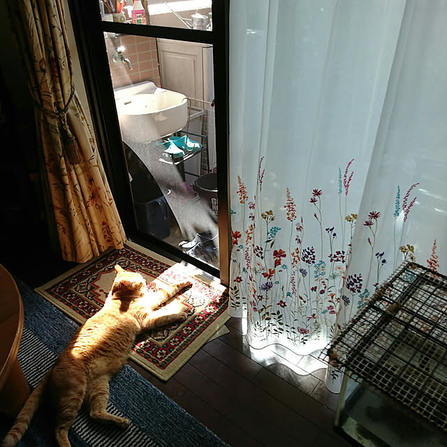 okyosan101さんの実例写真