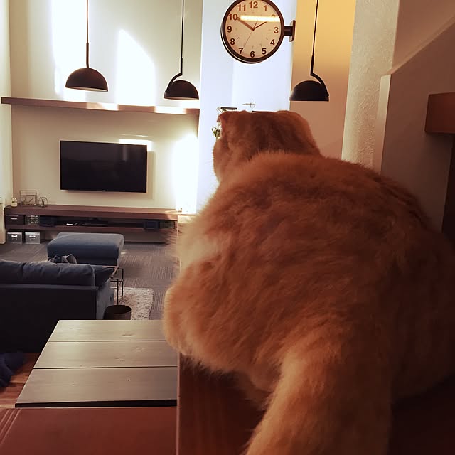 pepperさんの実例写真