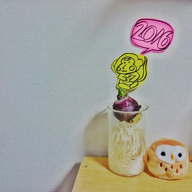 miiiiさんの実例写真