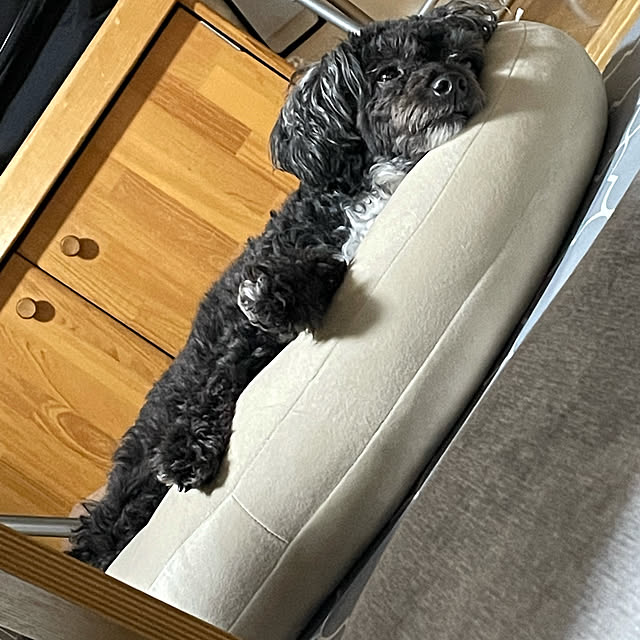 Chipさんの実例写真